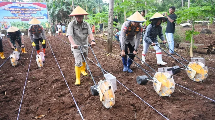 Pemkab Kupang Dukung Polisi dalam Pengembangan Tanaman Jagung