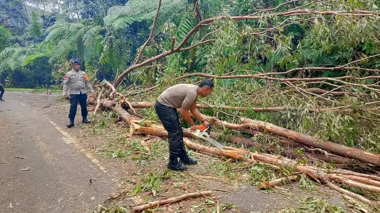 Tanggap Bencana Brimob Polda NTT Bersihkan Jalur Trans Flores