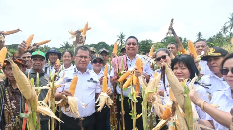 Kepala Desa Silu Manfaatkan Dana Desa untuk Ketahanan Pangan