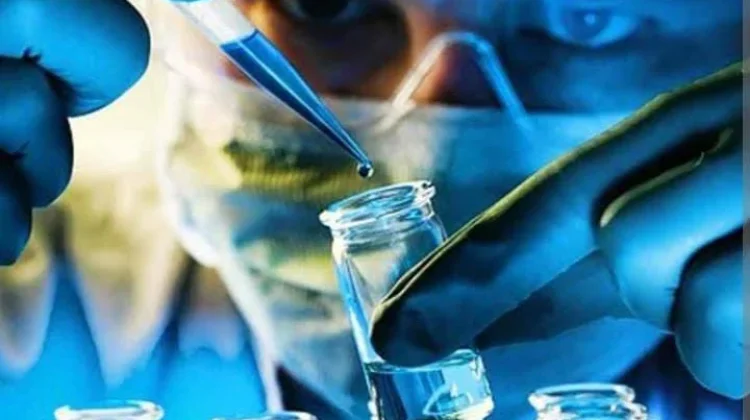 Peran Bioteknologi dalam Meningkatkan Kualitas Hidup Manusia