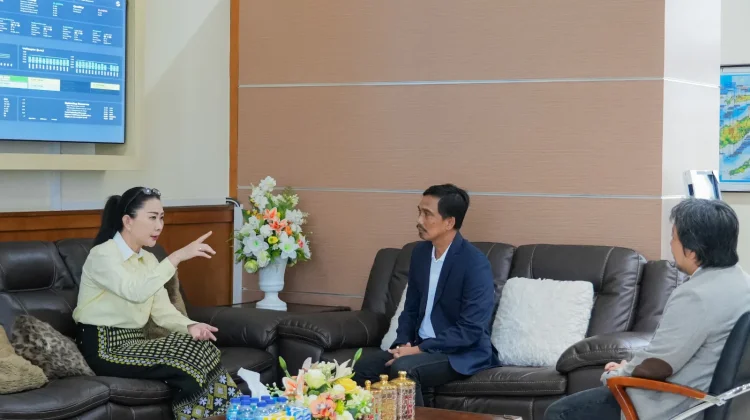 Sinergi PLN dan DPR RI Wujudkan Penerangan hingga Perbatasan