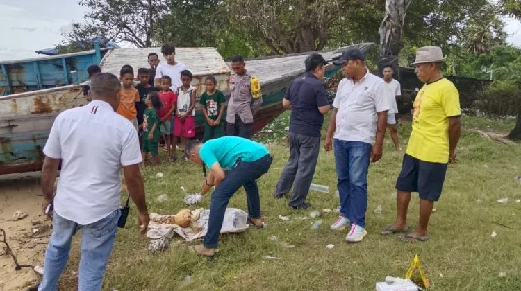 Temuan Tengkorak di Pesisir Pantai Nunsui Oesapa