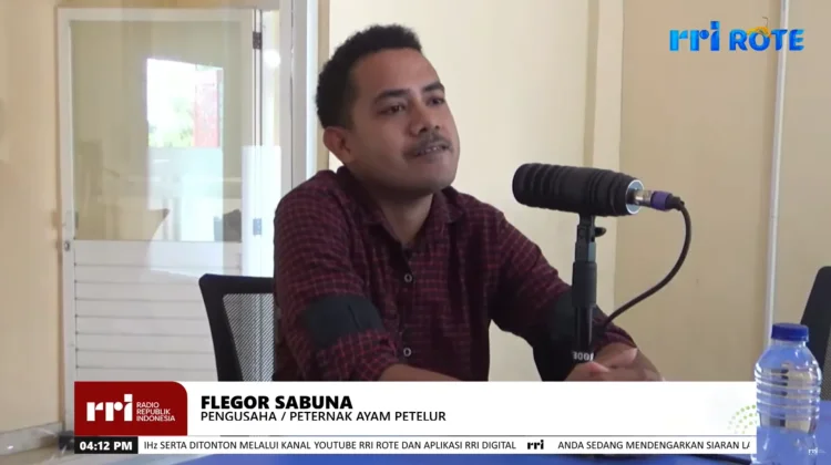 Flegor Sabuna Sukses Kembangkan Usaha Ayam Petelur di Rote Tengah