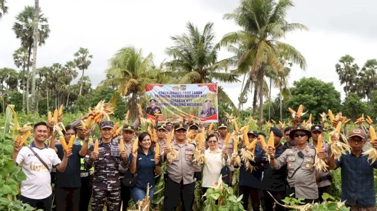 Panen Raya Jagung, Dukungan Nyata Program Asta Cita