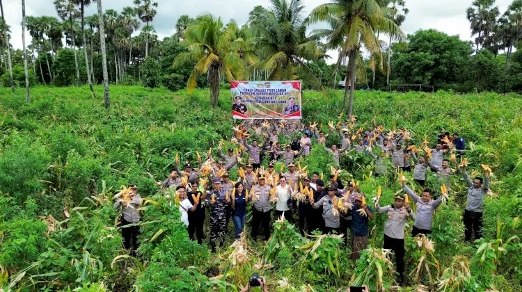 Kolaborasi Polri dan Petani, 60 Hektar Jagung Dipanen