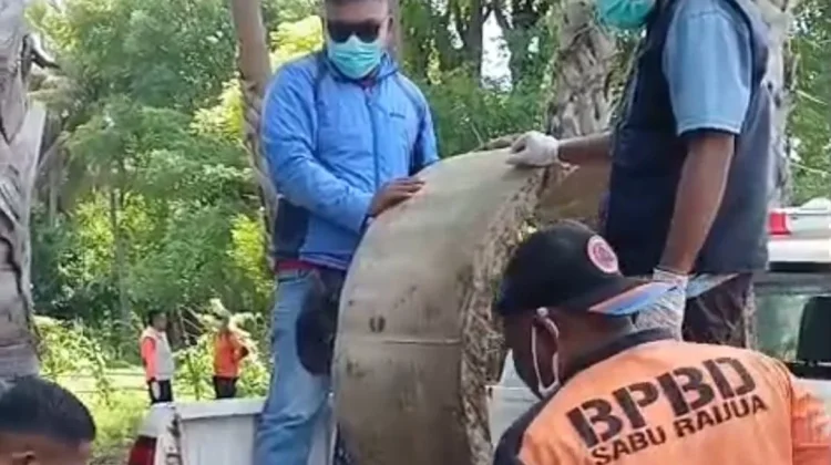 Cegah Leptospirosis Terulang, Pemkab Sabu Raijua Bangun Biopori