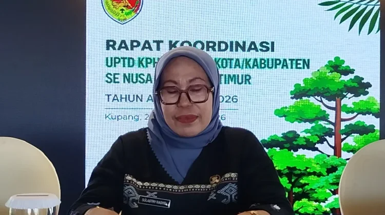 Hutan NTT Didongkrak Jadi Sumber PAD
