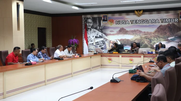 Gubernur NTT: Percepatan Implementasi KUR Perkuat UMKM