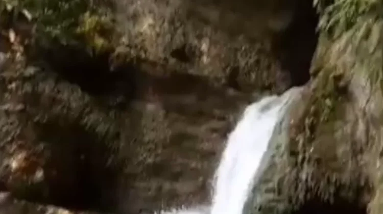 Wisata Air Terjun Oeklofo Destinasi Baru di Oinlasi