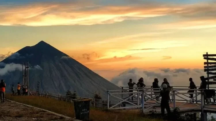 Pesona Bukit Wolobobo Negeri di Atas Awan Ngada