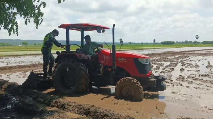 Babinsa Pahunga Lodu Dampingi Petani Bajak Sawah Musim Tanam