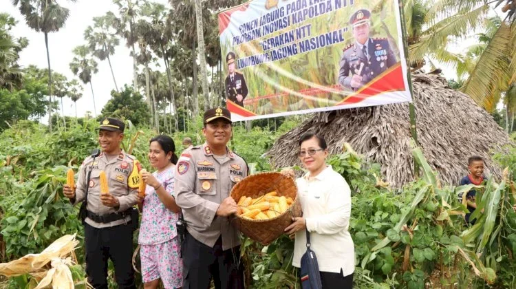 Panen Raya Jagung, Bukti Dukungan Program Nasional