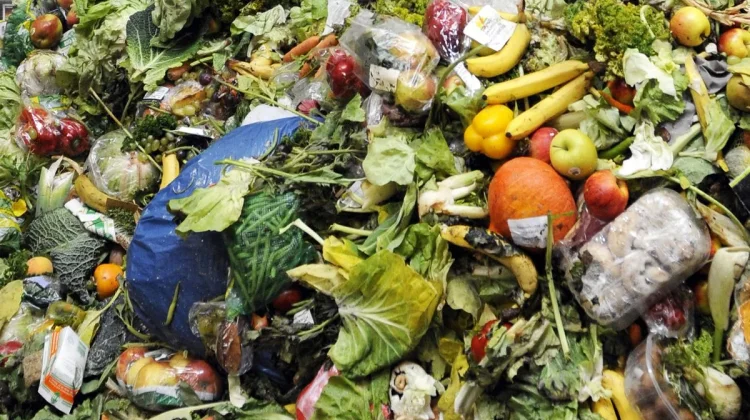 Hari tanpa Sampah Internasional Soroti Krisis Limbah Makanan Global