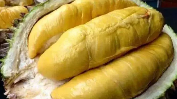 Benarkah Buah Duriqn Perlu Dihindari pengidap Diabetes?