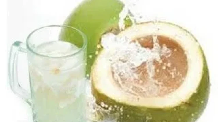 Efek Samping Air Kelapa jika Diminum Berlebihan, apa saja?
