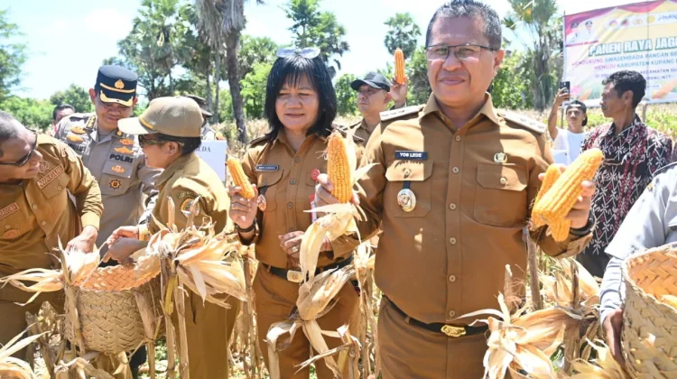 Bupati Kupang Dorong Petani Tingkatkan Produksi Jagung Lokal
