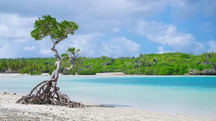 Pantai Oeseli, Surga Tersembunyi di Ujung Rote