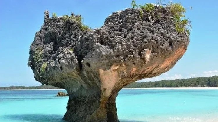 Pantai Oesosole, Pesona Batu Karang Hati di Rote Timur