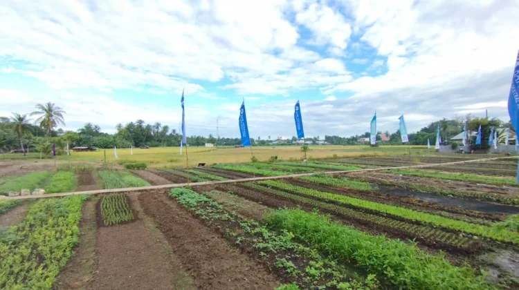 Direktur Politani dan Petani Soroti Agro Ekowisata Mata Air