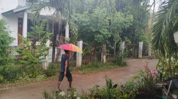 BMKG sebut Wilayah NTT Berpotensi Hujan, Dua Hari Kedepan