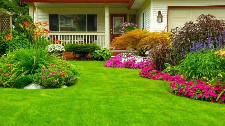 Cara Menata Taman Depan Rumah Sederhana Tetap Rapi
