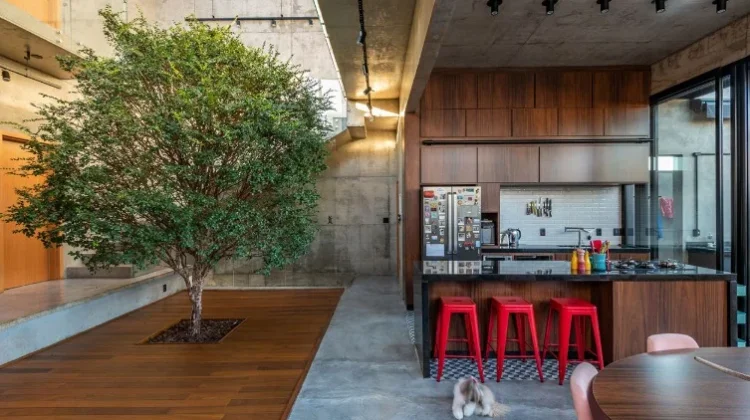 Inspirasi Rumah Modern dengan Pohon Hidup Indoor