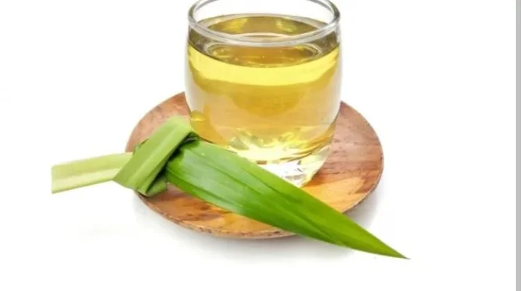 Masyarakat Mengolah Daun Pandan sebagai Minuman Penenang Alami