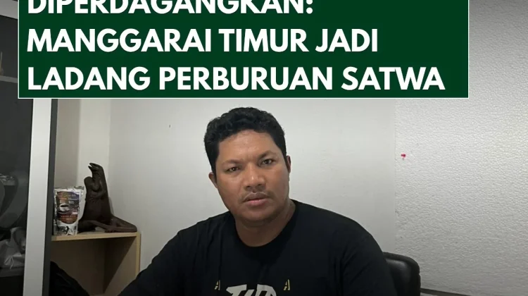 Manggarai Timur Jadi Ladang Perburuan Satwa Dilindungi