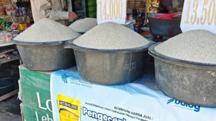 Siap Intervensi jika Langka, Bulog NTT Jamin Stok Minyak Kita Aman