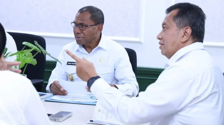 Pertemuan Pemprov NTT-PANRB Bahas Reformasi Jabatan dan PPPK