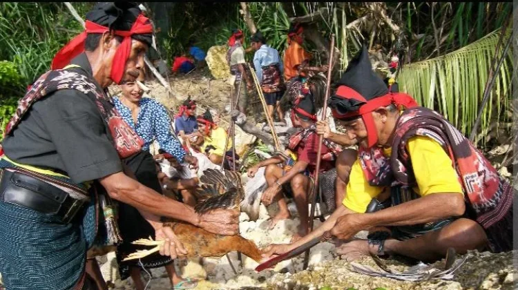 Masyarakat Sumba Menjaga Tradisi Kepercayaan Marapu Secara Turun-Temurun
