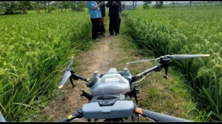 Inovasi Drone Membantu Petani Memantau Lahan Pertanian Secara Efisien