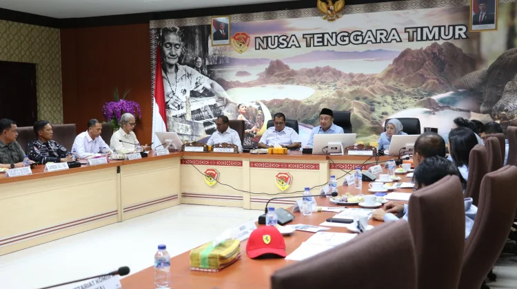 Gubernur Melki Sampaikan Sejumlah Persoalan Mendasar di NTT ke Komisi X DPRI RI