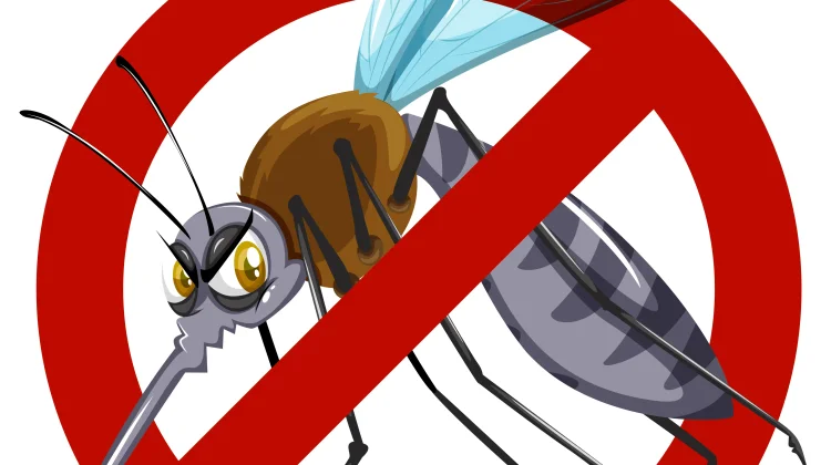 Waspada Malaria Impor, Sumba Timur Perketat Skrining di Pintu Masuk