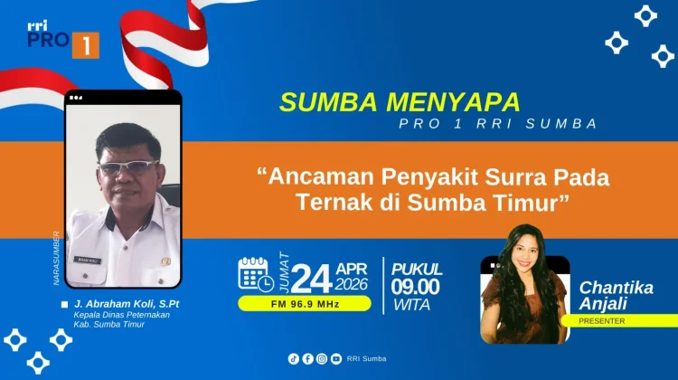 Lalu Lintas Ternak Sumba Timur Wajib Periksa Darah