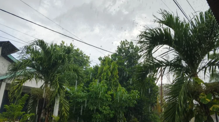 Cuaca NTT Berpotensi Hujan Sedang Disertai Angin Kencang