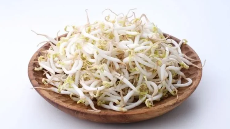 Manfaat Toge untuk Kesehatan dan Cara Konsumsinya