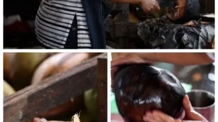 Tren Kuliner Sehat: Mengungkap Segudang Manfaat Kelapa Bakar bagi Tubuh