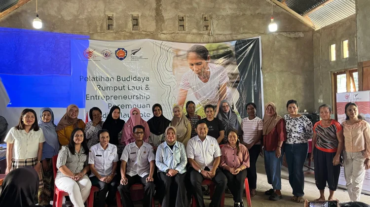 Krisis Iklim, IMA Perkuat Perempuan Rote lewat Budidaya Rumput Laut