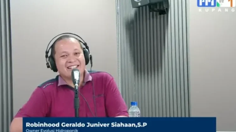 Strategi Petani Hidroponik Menembus Pasar Modern di Kupang
