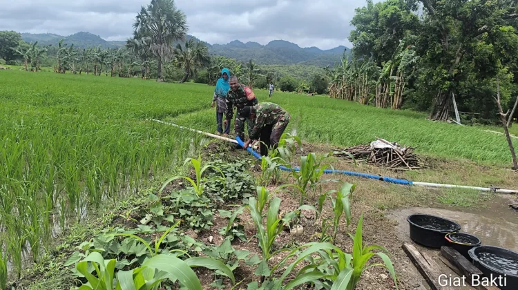 Babinsa Oeteta Dampingi Warga Tingkatkan Ketahanan Pangan Bersama
