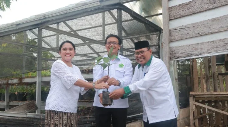 Gerakan Penanaman Pohon Matoa Jemaat  Betlehem Oesapa Barat