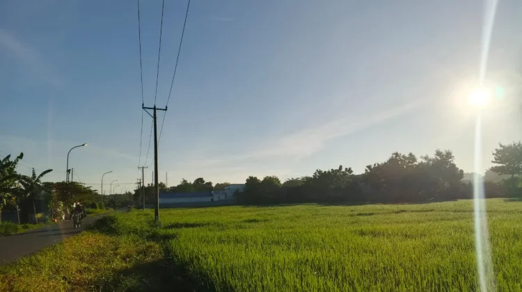 Waspada Angin Kencang di Empat Wilayah NTT, Enam Mei