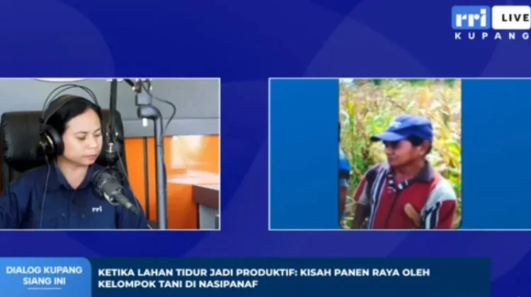 Kelompok Tani di Nasipanaf Sukses Sulap Lahan Tidur Menjadi Produktif