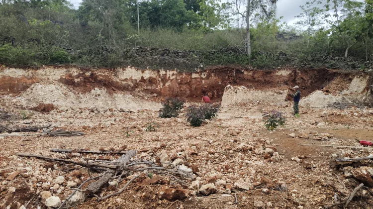 Pembangunan Gerai Koperasi Merah Putih Hadapi Kendala
