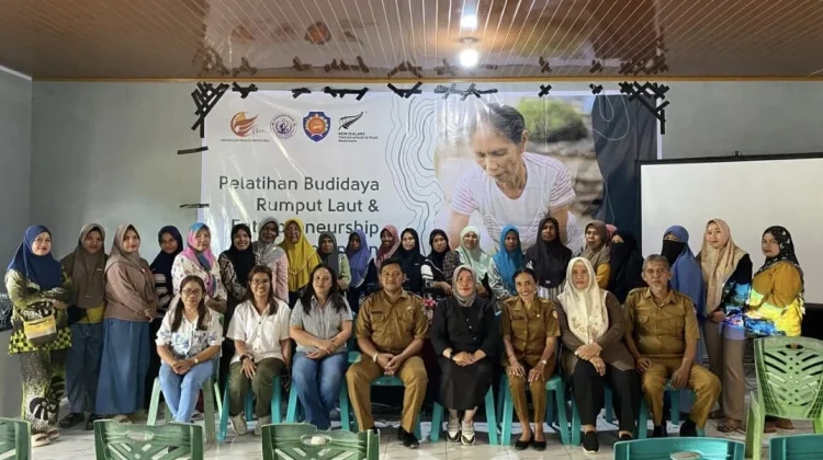 IMA Berdayakan Perempuan Rote lewat Rumput Laut dan Koperasi