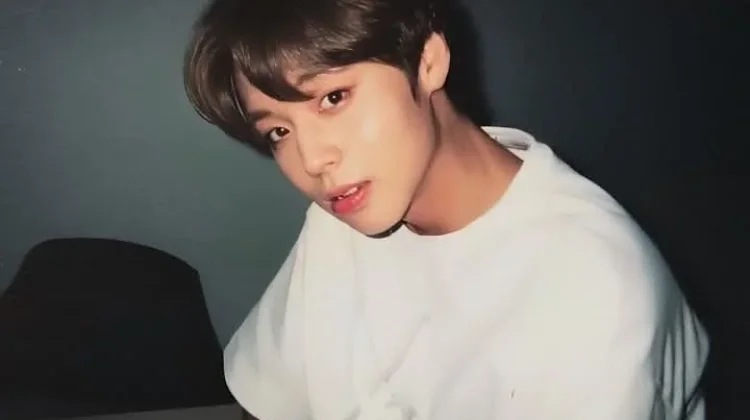 Park Jihoon Raih Dua Penghargaan Baeksang