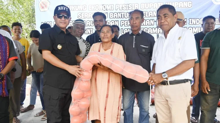Bupati Kupang Serahkan Bantuan Rumput Laut, Dorong Ekonomi dan Hilirisasi