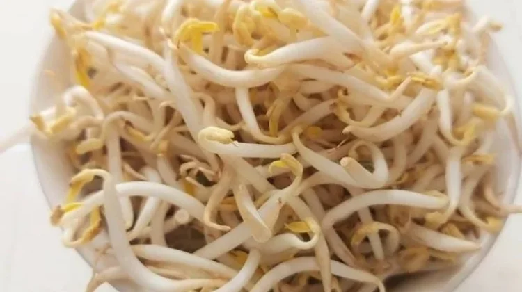 Manfaat ketika Makan Toge Seminggu
