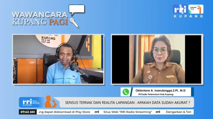 Dinas Peternakan Kabupaten Kupang Laksanakan Sensus Ternak